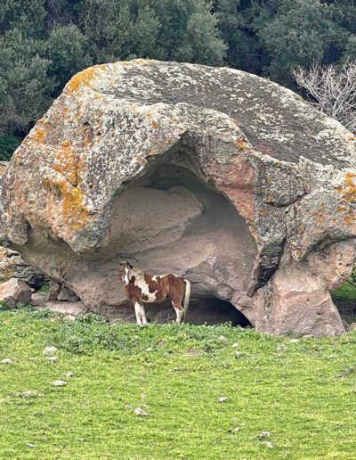 Bewusstseins-Auszeit