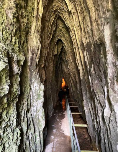 Reise-Abenteuer mit Suni