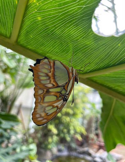 Reisen und Natur erleben - Bewusstseinsreisen