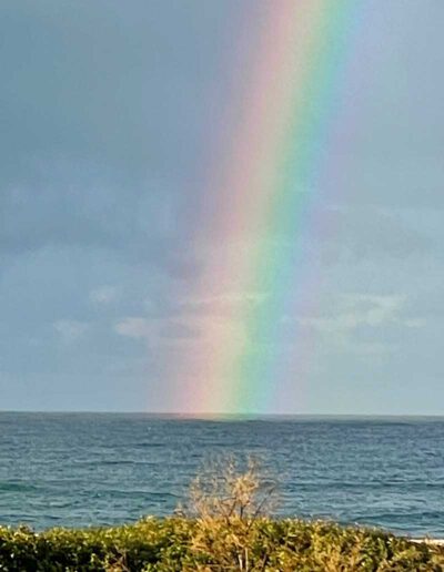 mit Suni zum Regenbogen - Bewusstseinsreisen