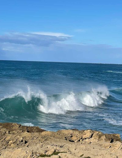 Suni - Reisen ans Meer